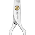 Jaguar Pre Style Ergo P 6.0" Hairdressing Scissor