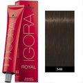 IGORA ROYAL 5-00