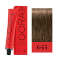 IGORA ROYAL 6-65
