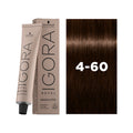 IGORA ROYAL ABSOLUTES 4-60