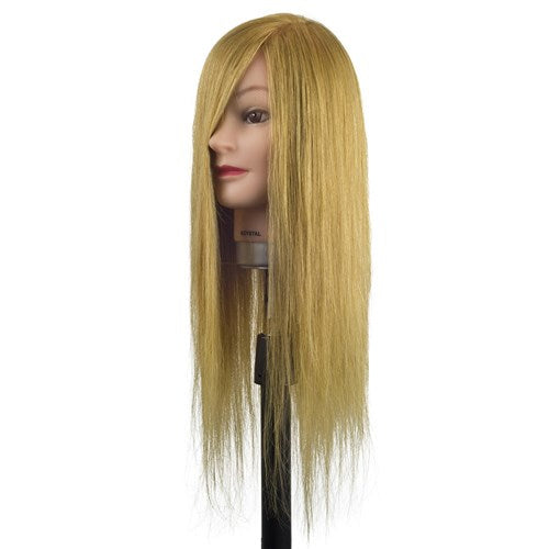 Dateline Professional Mannequin Long Indian Hair Blonde Krystal 20inch