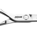 Jaguar Silver Line Cj4 Plus Left Scissors 5.75inch