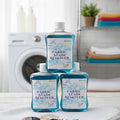 STAIN REMOVER