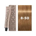 IGORA ROYAL ABSOLUTES 8-50
