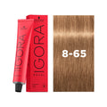 IGORA ROYAL 8-65
