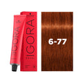 IGORA ROYAL 6-77