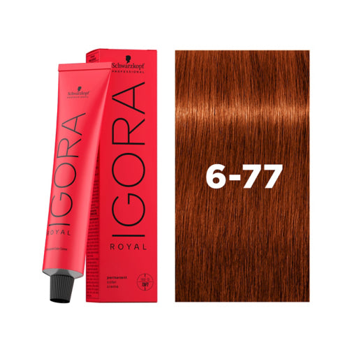 IGORA ROYAL 6-77