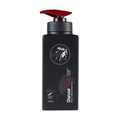 Hair 2 Beauty Charcoal Shampoo Ssp 380ml