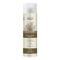 Cool Chocolate Shampoo