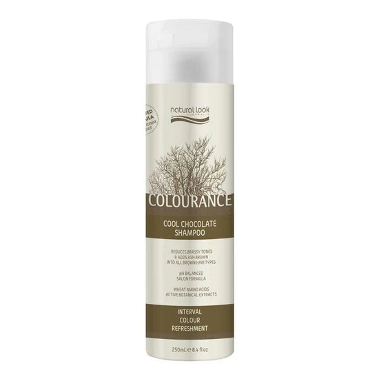 Cool Chocolate Shampoo