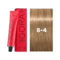 IGORA ROYAL 8-4