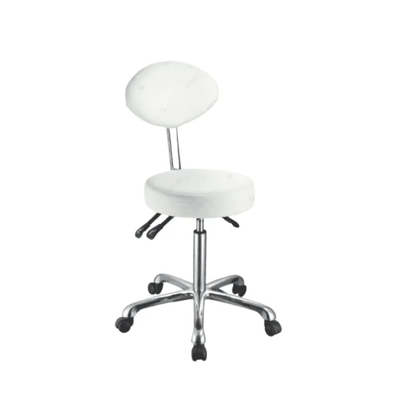 Karma Cradle Mountain Salon Stool With Back White 07070402