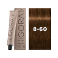 IGORA ROYAL ABSOLUTES 8-60