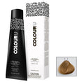 RPR ColourU 9.3 100ml